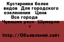 Кустарники более 100 видов. Для городского озеленения › Цена ­ 70 - Все города  »    . Чувашия респ.,Шумерля г.